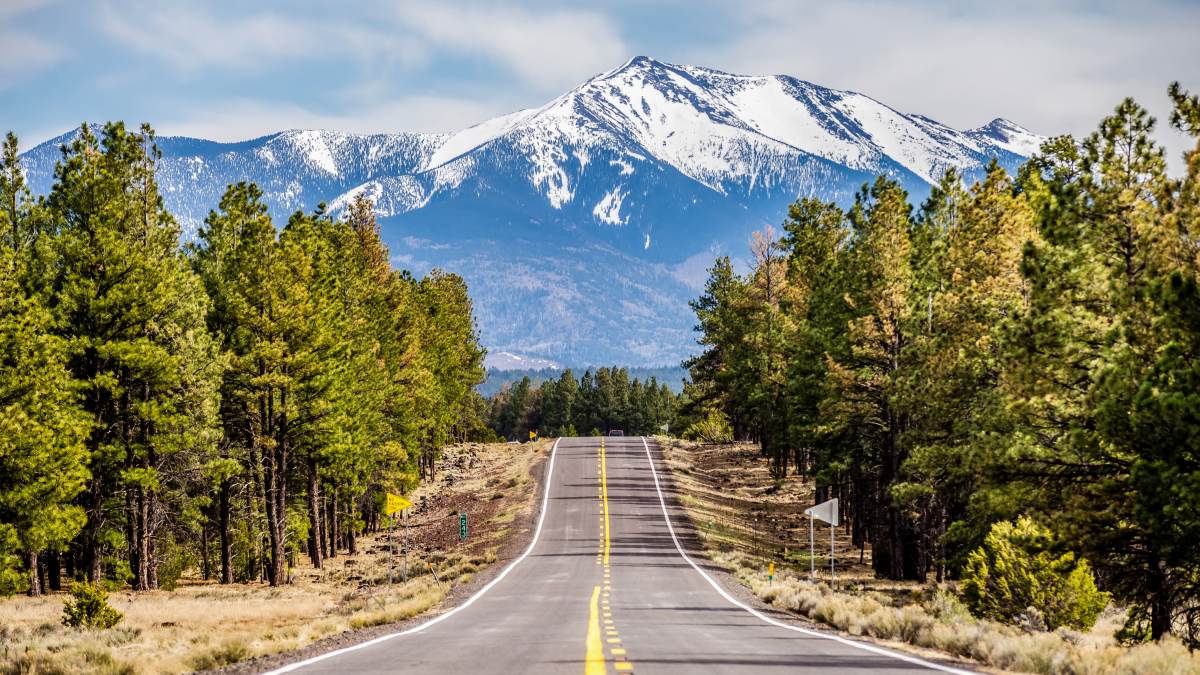 long-road-to-the-mountains_78c77f7e90fd3bfb1d9